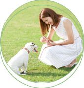 南通千彩寵物用品批發(fā)